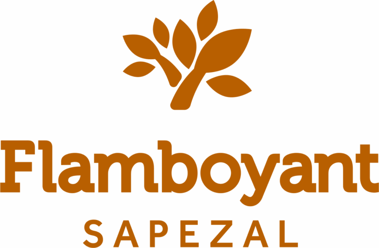 LOGO FLAMBOYANT SAPEZAL